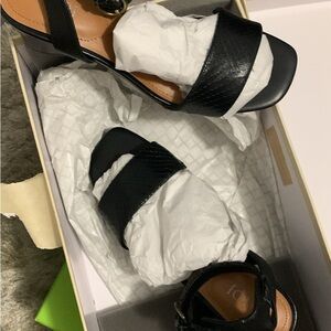 Elegant Black Women's Sandals